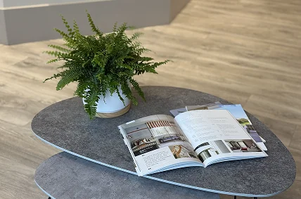 Fern in a white pot rests on a grey coffee table beside a Senator Windows brochure - Senator Windows
